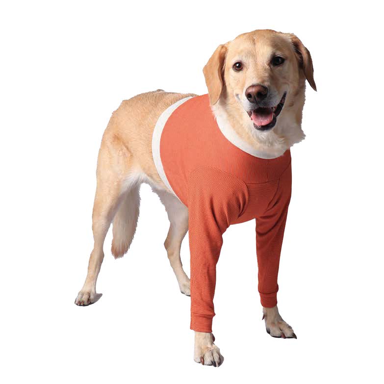 CopperBody Front Legs